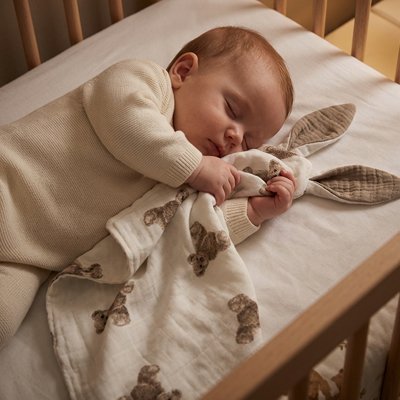 Doudou ourson assis blotti contre un bambin en plein sommeil